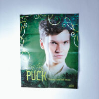 The Iron Fey Boxed Set by Julie Kagawa (Set of 4) - Image 3