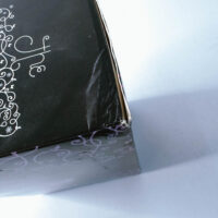 The Iron Fey Boxed Set by Julie Kagawa (Set of 4) - Image 7