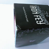 The Iron Fey Boxed Set by Julie Kagawa (Set of 4) - Image 8