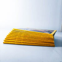 National Geographic 2009 Collector’s Set – 10 Issues - Image 3