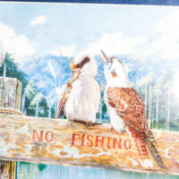 “No Fishing” – Kookaburra Framed Print - Image 4