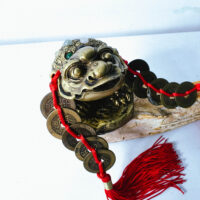 Lucky Prosperity Guardians – Gold Dragon & Money Toad - Image 4