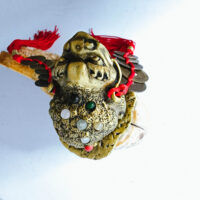 Lucky Prosperity Guardians – Gold Dragon & Money Toad - Image 5
