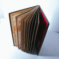 Vampireology: The True History of the Fallen Ones - Image 5